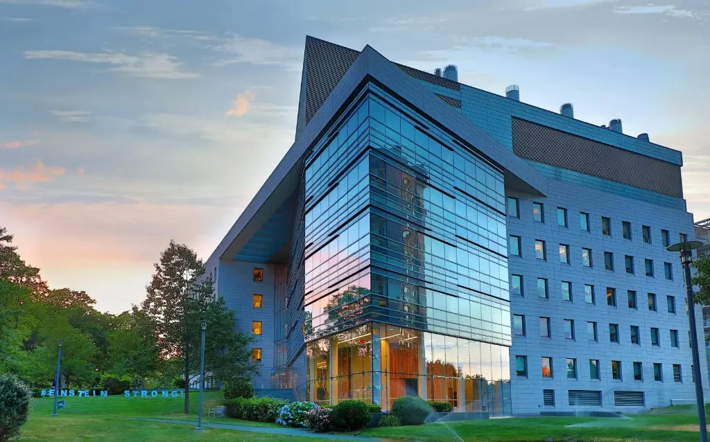 New-Albert-Einstein-College-of-Medicine